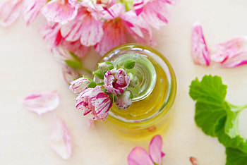 Pink flowers, pot HD wallpaper