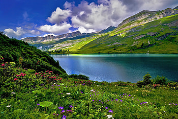 Swiss Alps, sky, swiss, beautiful, spring, mountain, lake, Alps, grass, wildflowers, summer HD wallpaper