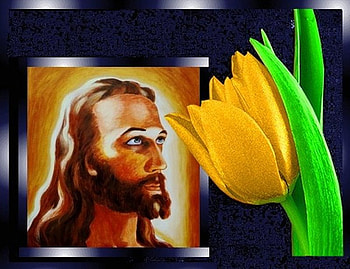 Jesus painting, god, tulip, painting, flower, jesus, christ, religion, christianity HD wallpaper
