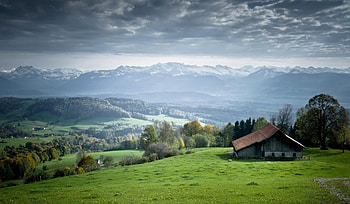 Amazing Landscape, great, nature, amazing, green HD wallpaper