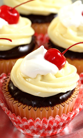food HD phone wallpaper
