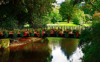 Beautiful park, shade, park, pink, red, , trees, nature, flowers, water, pond HD wallpaper