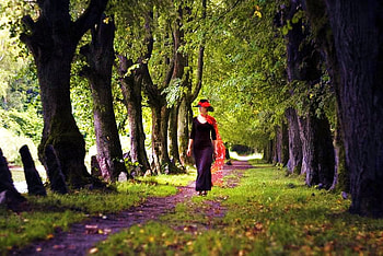 Stylish walk, stylish woman, walk trees, black and red outfit, grass, woman HD wallpaper