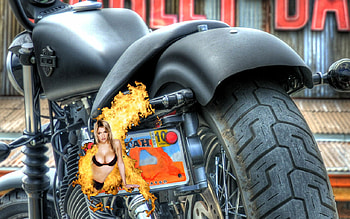 Cheap Shot, bike, motorcycles, harley davidson, chopper HD wallpaper