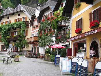 Village Cafe, street, building, cafe, flower HD wallpaper