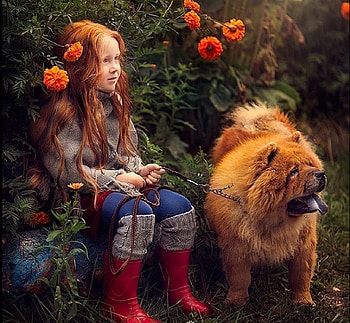 Girl with friend, dog, Girl, pretty, Flowers, friend HD wallpaper