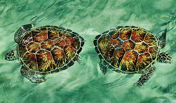 Sea Turtles, animal, bird, art, sea turtle, avian, artwork, wide screen, wildlife, painting, water, ocean HD wallpaper