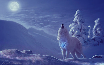 Winter Wolf, white, blues, cold, wolf, Winter, moon, snow, scenic, Seasons HD wallpaper
