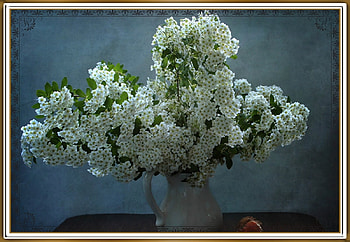 FRAMED FLOWERS, FLOWER, NATURE, FRAMED HD wallpaper