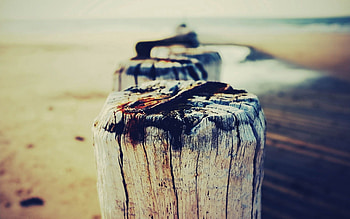 Dark, Miscellanea, Miscellaneous, Wood, Wooden, Stump, Penek, Log HD wallpaper