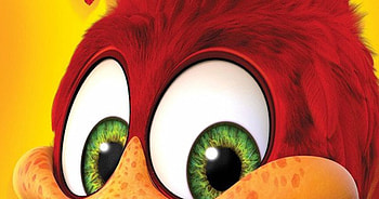 Close-up, Woody Woodpecker HD wallpaper