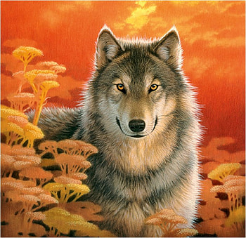 Wolf, animal, wildlife, painting, art, autumn HD wallpaper