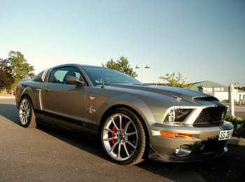 Ford Mustang Shelby GT500 Super Snake, tuning, ford, car, gt500, mustang, shelby HD wallpaper