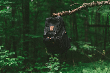 Miscellanea, Miscellaneous, Forest, Branch, Journey, Backpack, Rucksack HD wallpaper