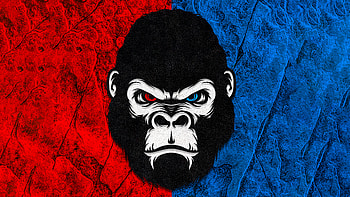 Gorilla Red Blue Minimal , gorilla, minimalism, minimalist, artist, artwork, digital-art HD wallpaper