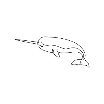 Narwhal, Continuous line drawing, Animal mascot concept HD phone wallpaper