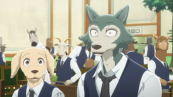 Jack and Legoshi, BEASTARS HD wallpaper