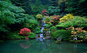 Waterfall In The Garden, Seattle, Japanese garden, colors, beautiful, park, maple, green, waterfall, trees, water, pond, foliage HD wallpaper
