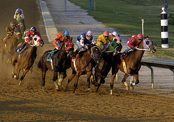 Horse racing , backgrounds, Top HD wallpaper