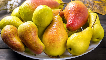 Plate, Pear HD wallpaper