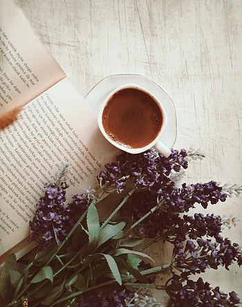 Flowers, Coffee, Miscellanea, Miscellaneous, Cup, Text, Book HD phone wallpaper