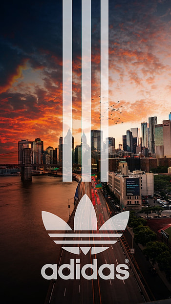 Adidas, city HD phone wallpaper