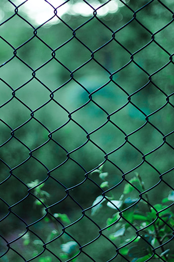 Plants, Miscellanea, Miscellaneous, Blur, Smooth, Grid, Lattice, Trellis HD phone wallpaper