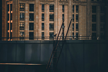 Building, Miscellanea, Miscellaneous, Bird, Stairs, Ladder, Roof, Dove HD wallpaper
