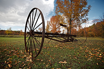 Autumn wheel, leaves, color, colors, sesons, nature, tree HD wallpaper