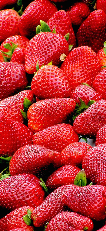 Red strawberry delight, Perfect for 11 HD phone wallpaper