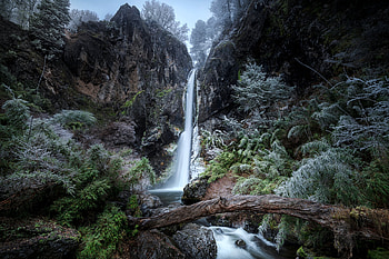 Lonquimay Waterfall, Chile, waterfall, nature, forest, chile HD wallpaper