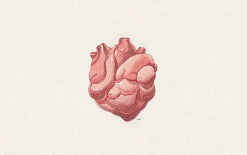 Background, Art, Minimalism, Heart, Digital Art HD wallpaper