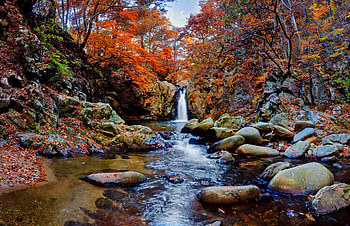 Waterfall in autumn forest, fall, waterfall, autumn, forest, rocks, foliage, stones, leaves, veautiful, trees HD wallpaper