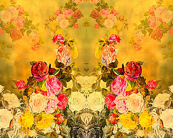 Beautiful flowers, flowers, roses, pretty, artistic HD wallpaper