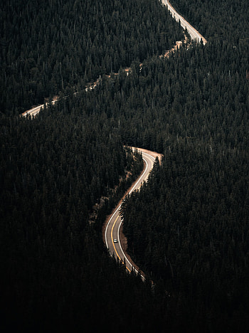 Nature, Trees, View From Above, Road, Forest, Car HD phone wallpaper