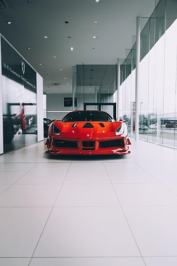 Sports, Cars, Car, Front View, Machine, Sports Car HD phone wallpaper