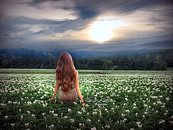 Enjoying The View, valley, field, view, flowers, girl, sunset HD wallpaper