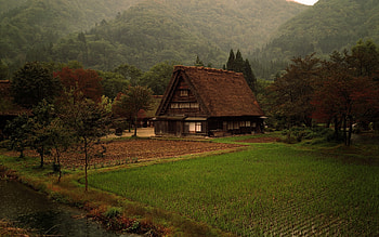 Landscape, Houses, Fields HD wallpaper