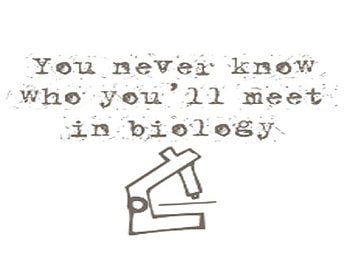 Twilight Biology Quote, quote, twilight, edward cullen, biology HD wallpaper
