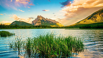 Mt. Rundle and the Vermillion Lakes at Banff National Park, Alberta, mountains, canada, sunset, clouds, grass, sky HD wallpaper