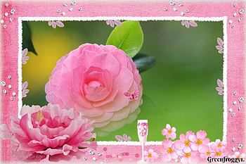 CAMELLIA, FLOWER, PRETTY, FRAMED, PINK HD wallpaper