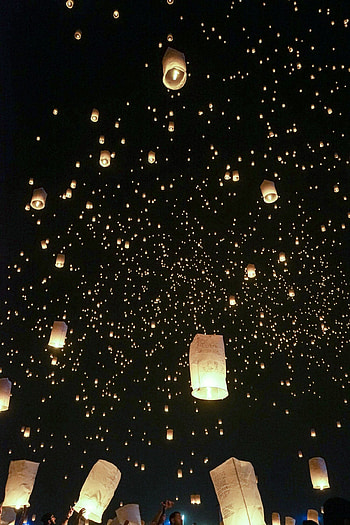 The Rise Festival, Luminous celebration, Nighttime wonder, Breathtaking spectacle HD phone wallpaper