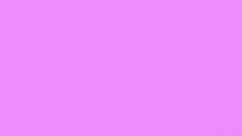 plain one colour solid color single magenta HD wallpaper