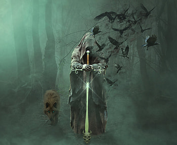 Magician, warrior with sword, fantasy, wolf, mystical, art HD wallpaper