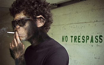 Animals, People, Art , Monkeys HD wallpaper
