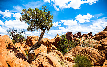 National Park Arches, national-park, nature HD wallpaper