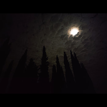 Gece ve Ay, bulut, duygusal, manzara, orman, cool, night, ışık, good, acı, moon, parçalı bulu, ağaç, hava, dark HD phone wallpaper
