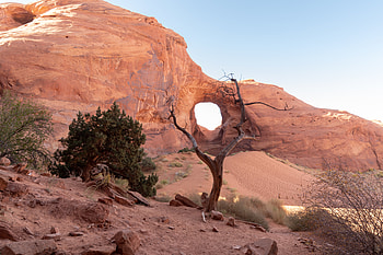 Sand, Nature, Trees, Stones, Desert, Rock HD wallpaper