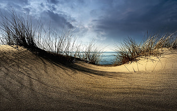 Nature, Grass, Sea, Sand, Shore, Bank, Overcast, Mainly Cloudy, Hill, Hollow, Combe HD wallpaper
