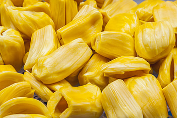 Cooking with jackfruit, Culinary delights, Recipe inspiration, Gastronomic journey HD wallpaper